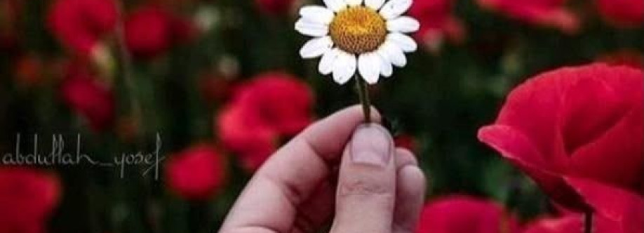 Azza Hasib Cover Image