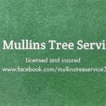 Jonathan Mullins Profile Picture
