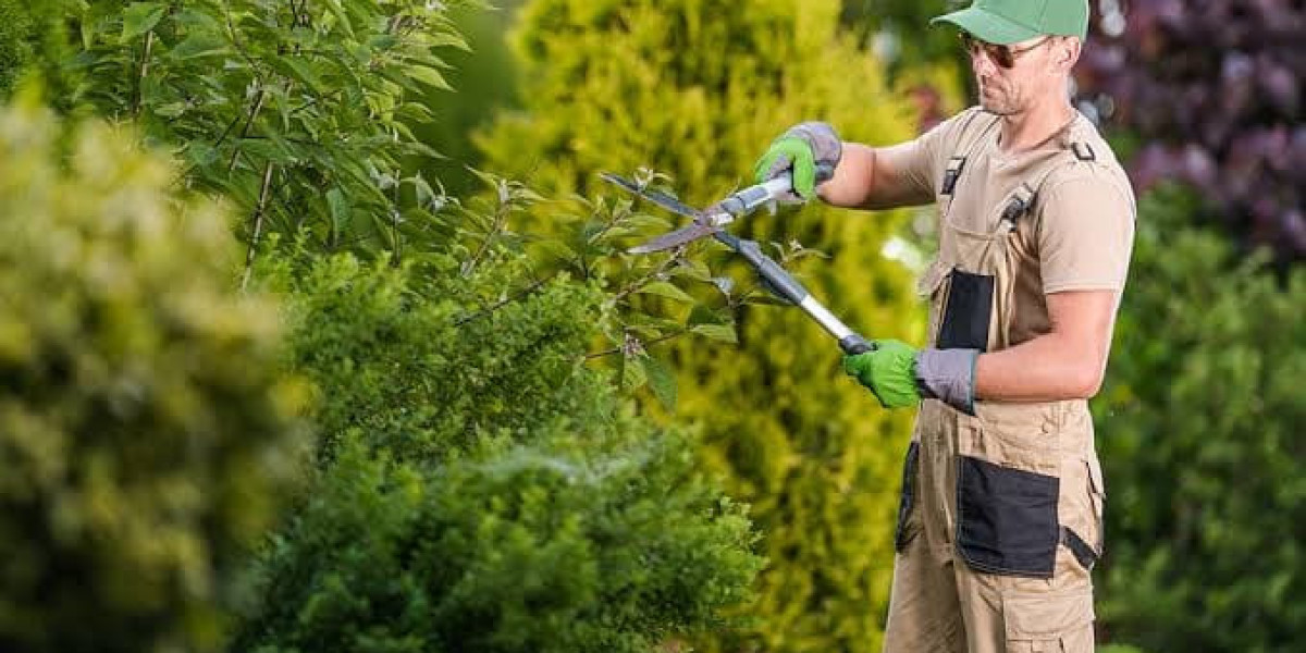 How Proper Tree Care Helps Protect Your Property in Wayne, MI